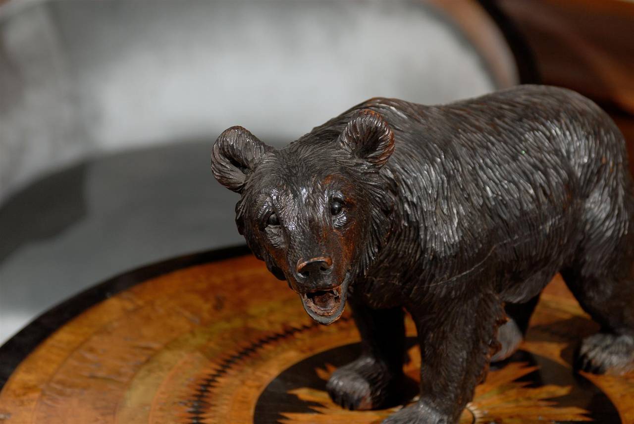 20th Century Swiss Turn of the Century Small Black Forest Carved Bear