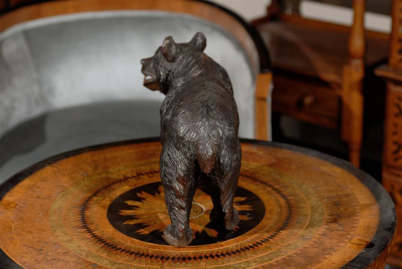 Swiss Turn of the Century Small Black Forest Carved Bear In Good Condition In Atlanta, GA