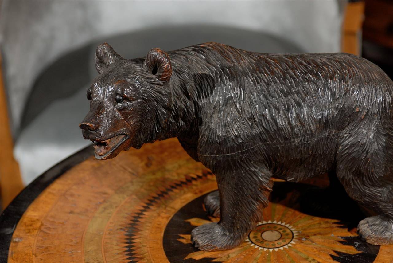 Wood Swiss Turn of the Century Small Black Forest Carved Bear