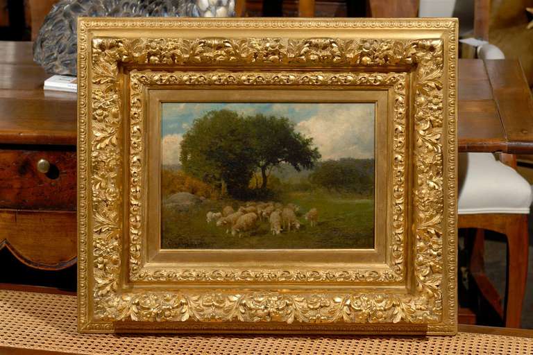 Antique American Sheep oil painting on board by Charles Phelan in antique gilt frame.