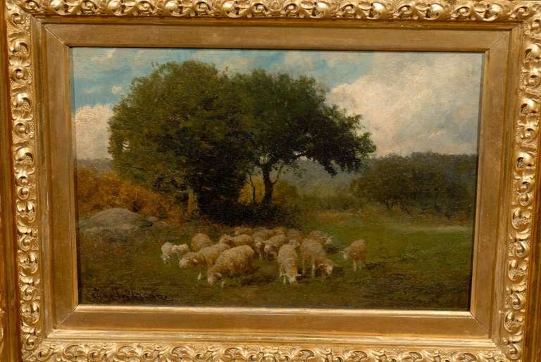 Antique Sheep Oil Painting Signed by Charles Phelan 1