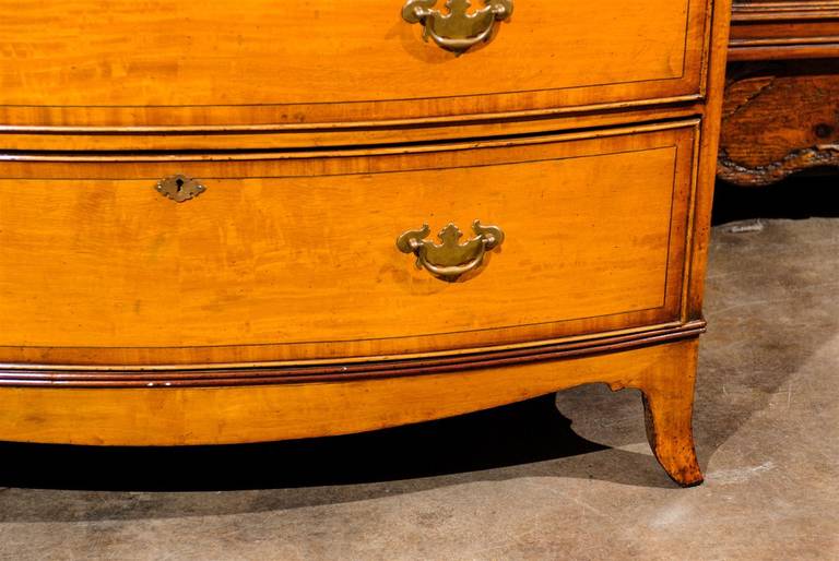 English Mahogany Crossbanded Bow-Front Five-Drawer Commode, circa 1840 1