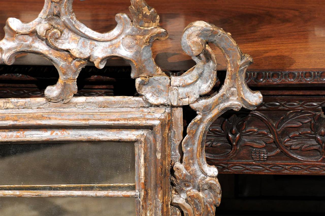Italian Early 19th Century Carved Wood Rococo Style Mirror with Silver Finish 7