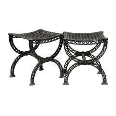 Pair of French 20th Century Belle Epoque Style Iron Garden Stools