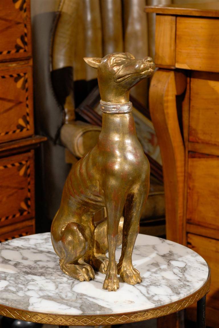 This Italian giltwood dog sculpture from the mid-20th century features a whippet or greyhound, sitting obediently with a regal expression. As the head is lifted up and the ears are pulled back while the front paws neatly positioned in front of the