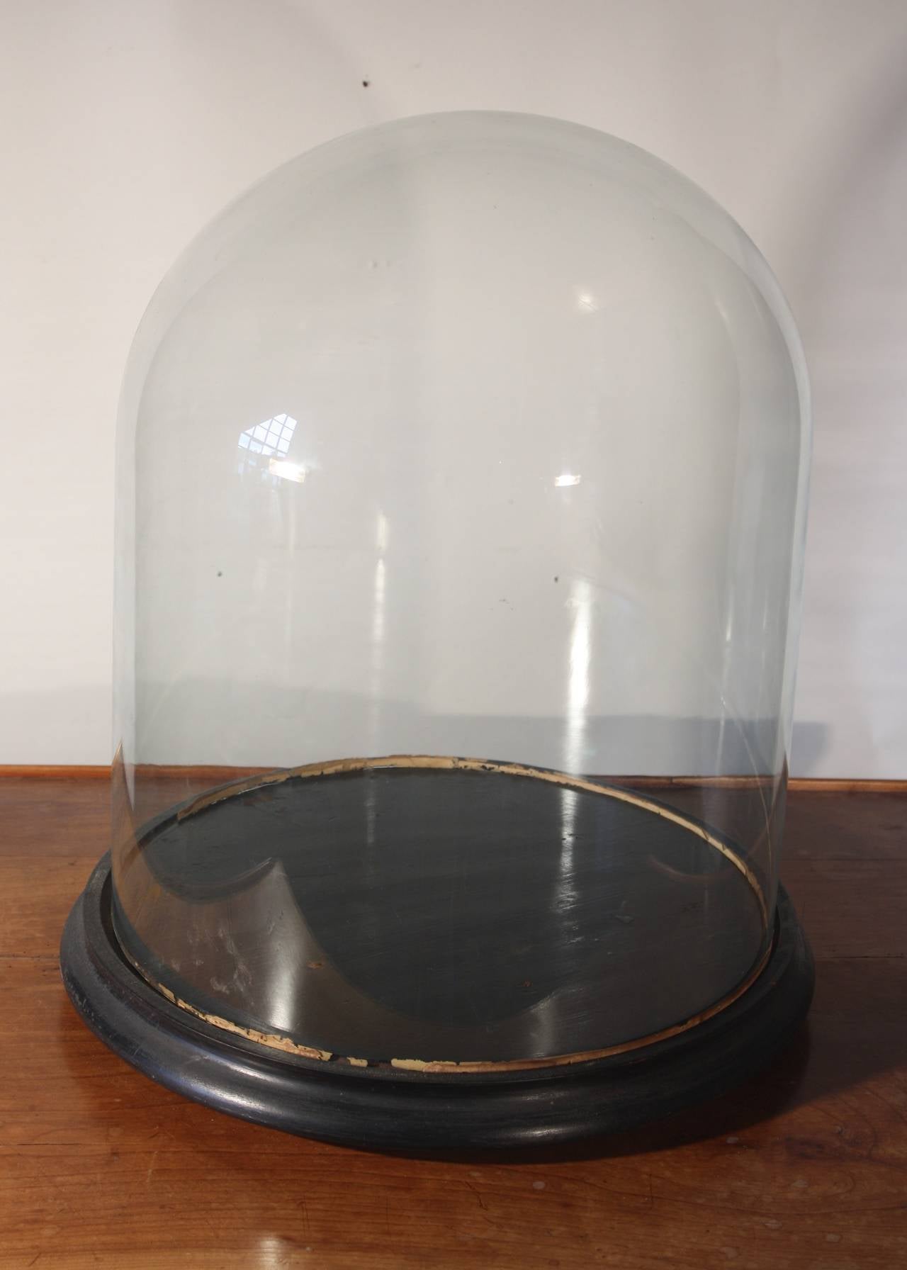 A very large and unusual mid-19th century blown glass dome on its original ebonized turned-wood stand.