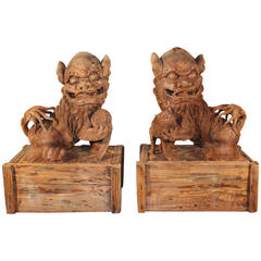 Pair of Antique Carved Wood "Foo" Dogs