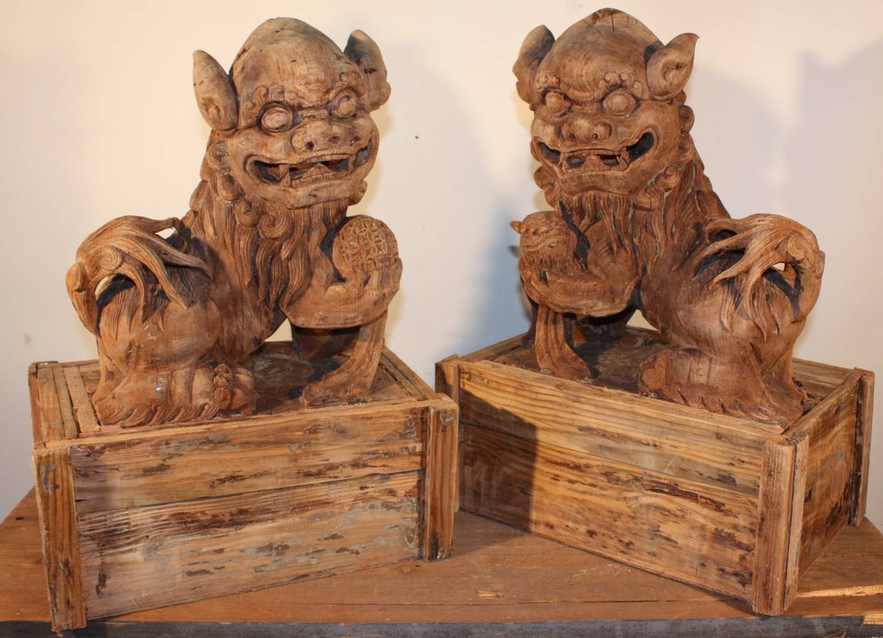 A nicely carved pair of Chinese 