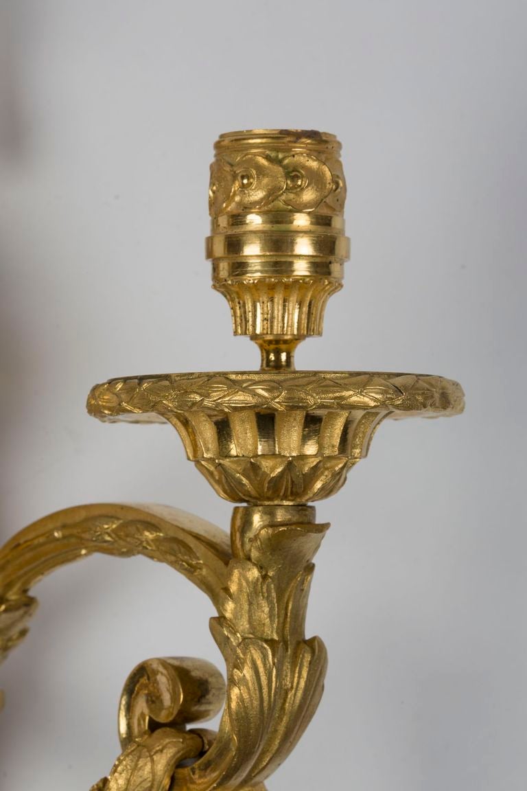 Pair of Louis XVI Gilt Bronze Two-Light Sconces 1