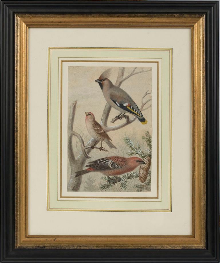 19. Jahrhundert Paar Aquarelle, Amerikanische Schule (amerikanisch) im Angebot