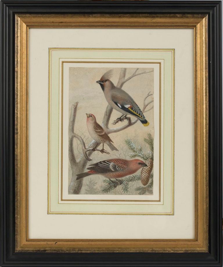 19th C. Pair of Watercolors, American School In Good Condition For Sale In Kittery Point, ME