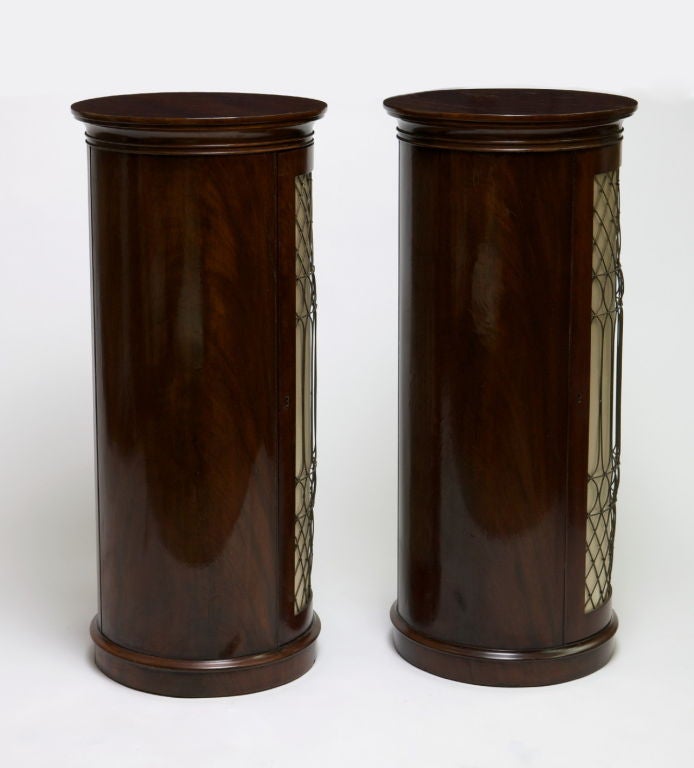 19th Century Pair of Regency Mahogany Pedestal Side Cabinets