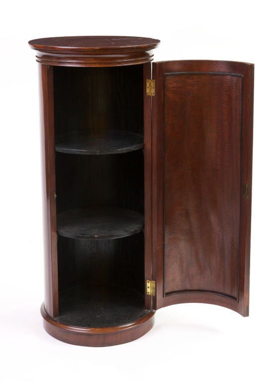 Pair of Regency Mahogany Pedestal Side Cabinets 1