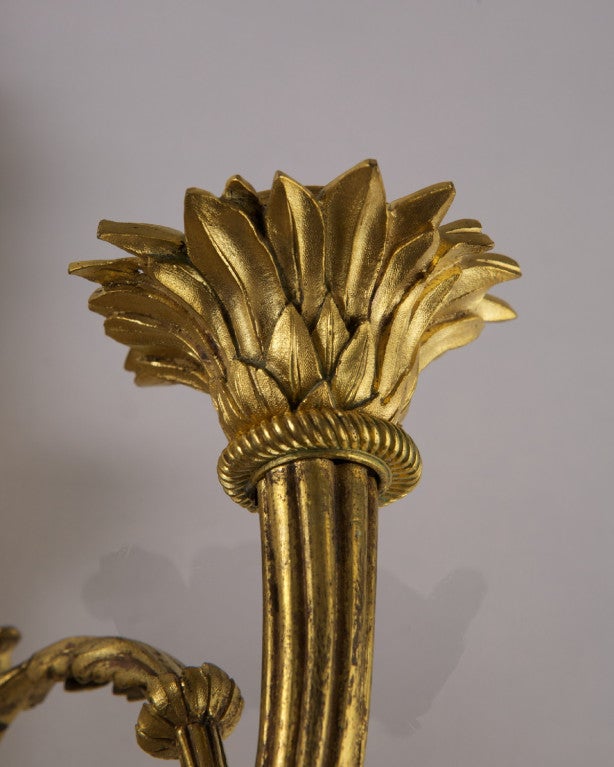 19th Century Rare Pair of Louis XVI Style Gilt Bronze Three-Light Sconces For Sale