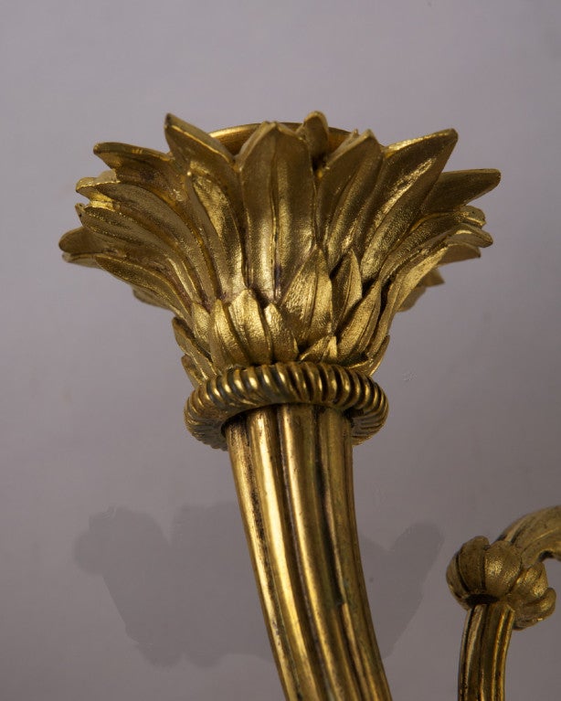Rare Pair of Louis XVI Style Gilt Bronze Three-Light Sconces For Sale 1
