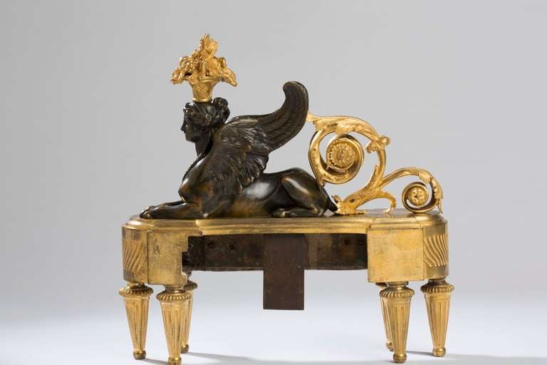 Pair of Louis XVI Gilt and Patinated Bronze Sphinx Chenets For Sale 4