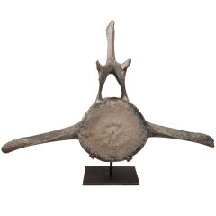 Large Old Whale Vertebra on Custom Stand