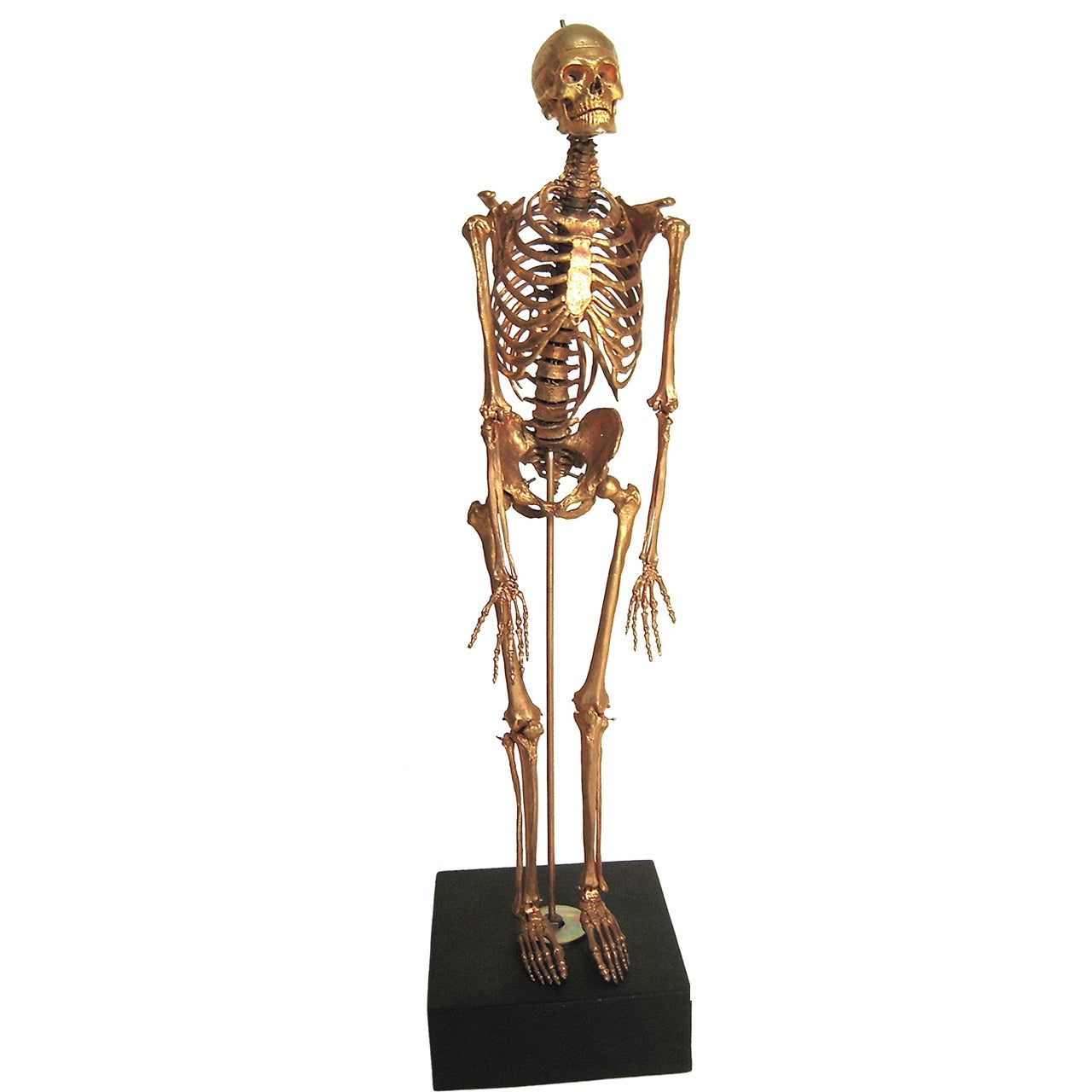 Unusual Gilt Metal Model of a Male Skeleton