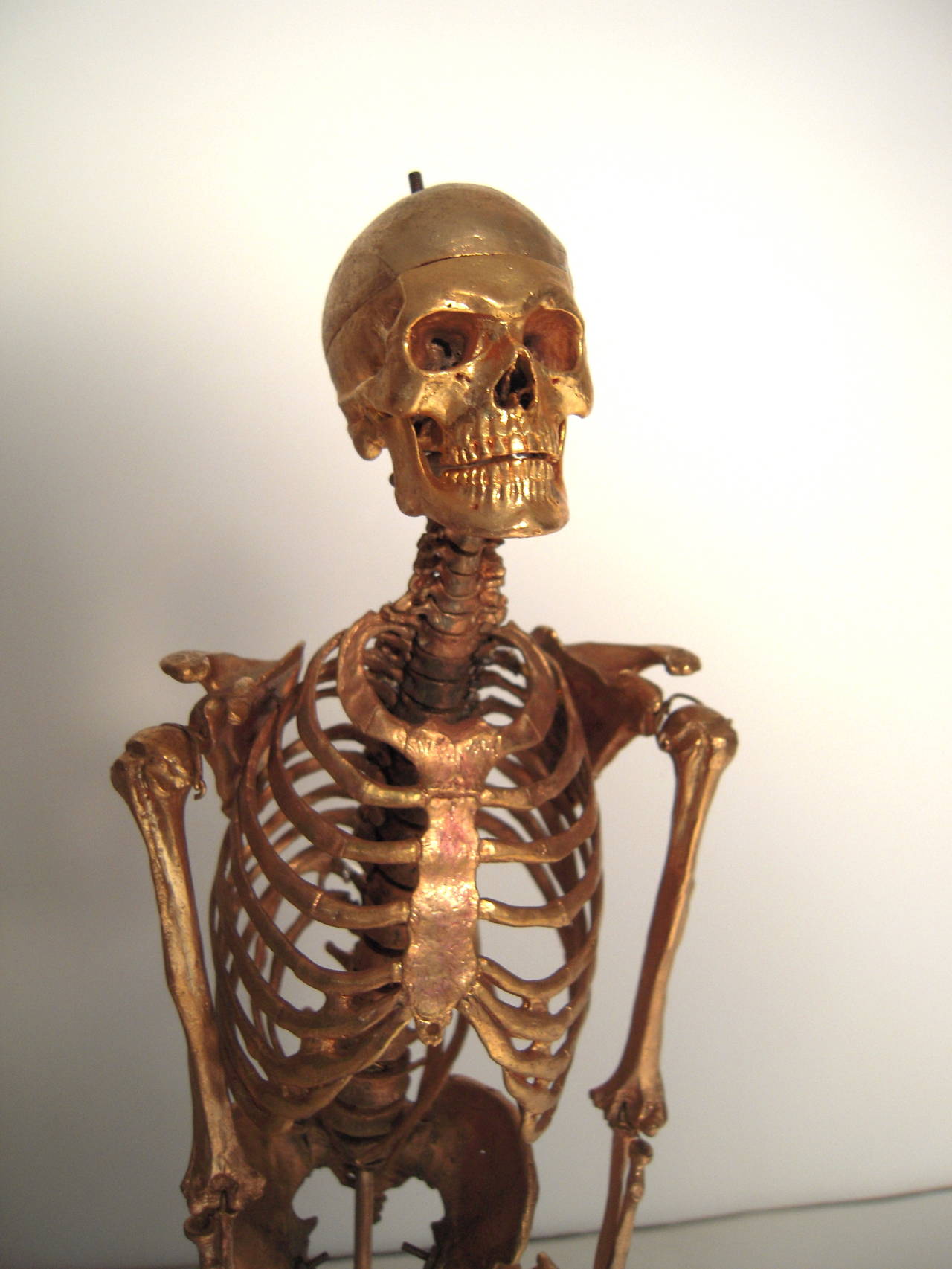 An unusual and finely modeled gilt metal model of a male skeleton, with articulated bones (all except the small bones in the hands and feet), on a black wooden square plinth, embossed with copyright information by Stanley Winters, together with its