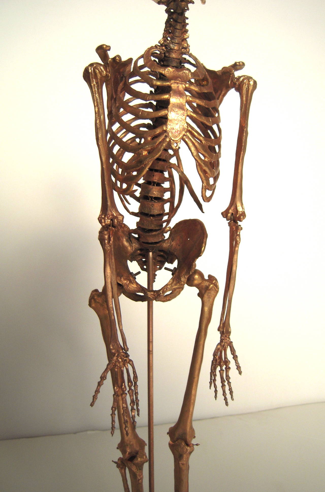 Unusual Gilt Metal Model of a Male Skeleton 1