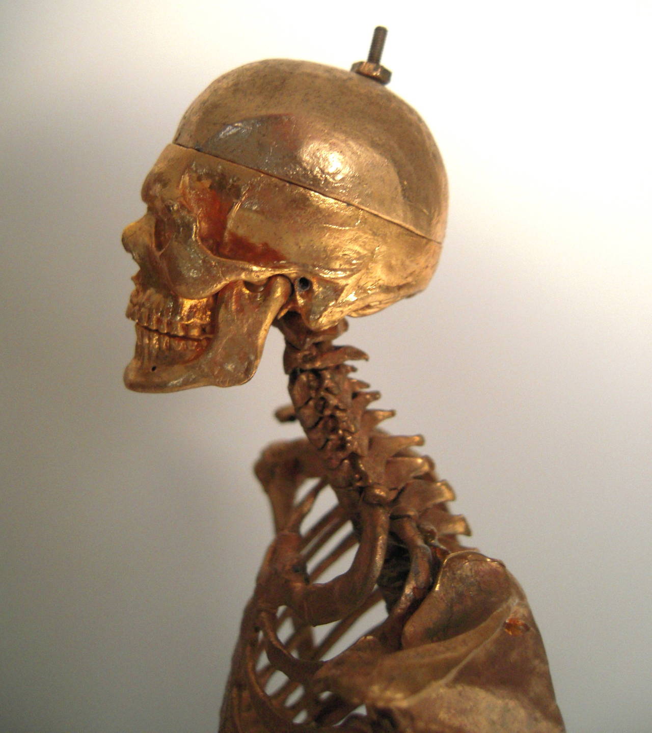 American Unusual Gilt Metal Model of a Male Skeleton