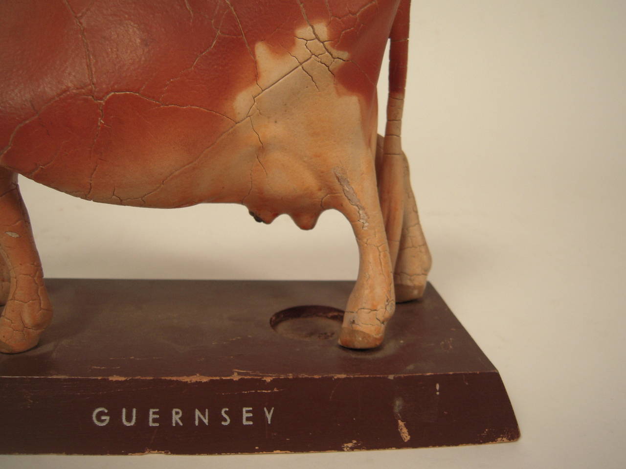 A Guernsey Cow Model 4
