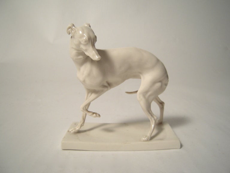 A blanc de chine white porcelain figure of a whippet by Nymphenburg, model  number 437, after the 1843 sculpture by renowned French modeler Pierre Jules Mene. Impressed Nymphenburg mark on both top and underside of plinth, with incised model number.