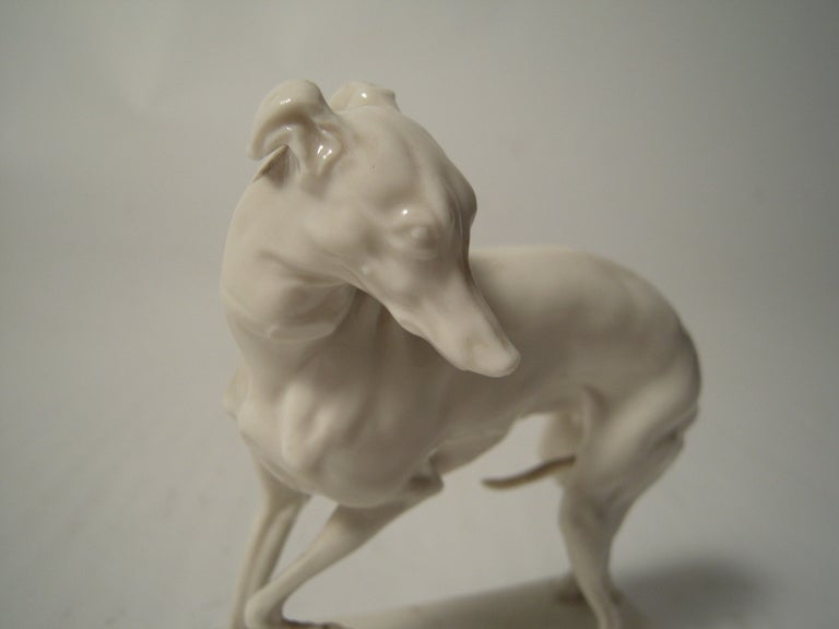 Nymphenburg Porcelain Whippet In Excellent Condition In Essex, MA