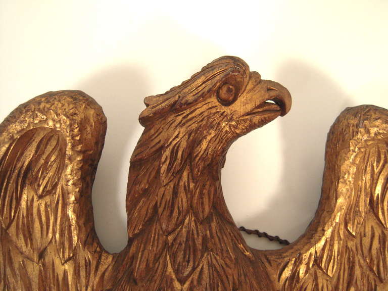 19th Century Carved and Gilt Wood American Eagle Wall Sculpture In Good Condition In Essex, MA
