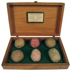 Used Unusual and Amusing Michigan Educational Potato Models