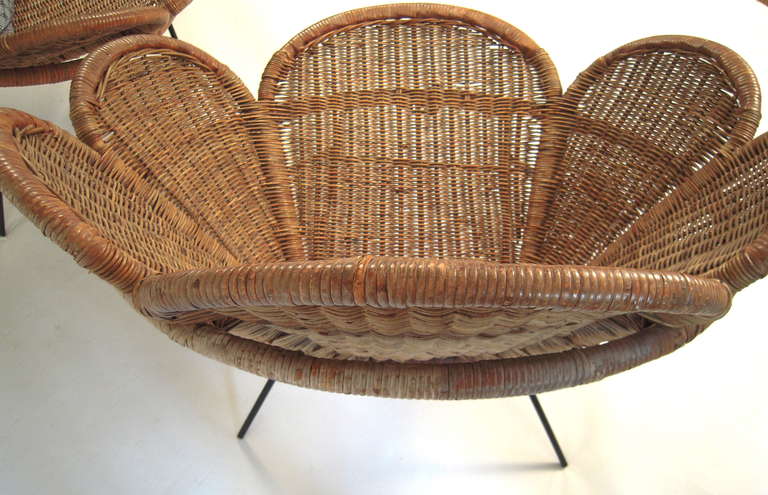 Mid-Century Modern Pair of Wicker Flower Form Garden or Patio Chairs