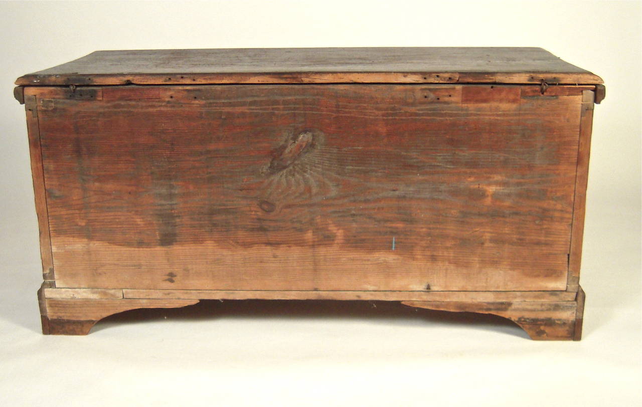 Architectural American Southern Carved Blanket Chest, circa 1780 2