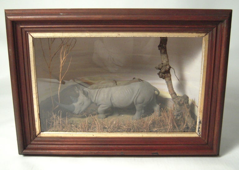 Rhinoceros Museum Diorama In Excellent Condition In Essex, MA