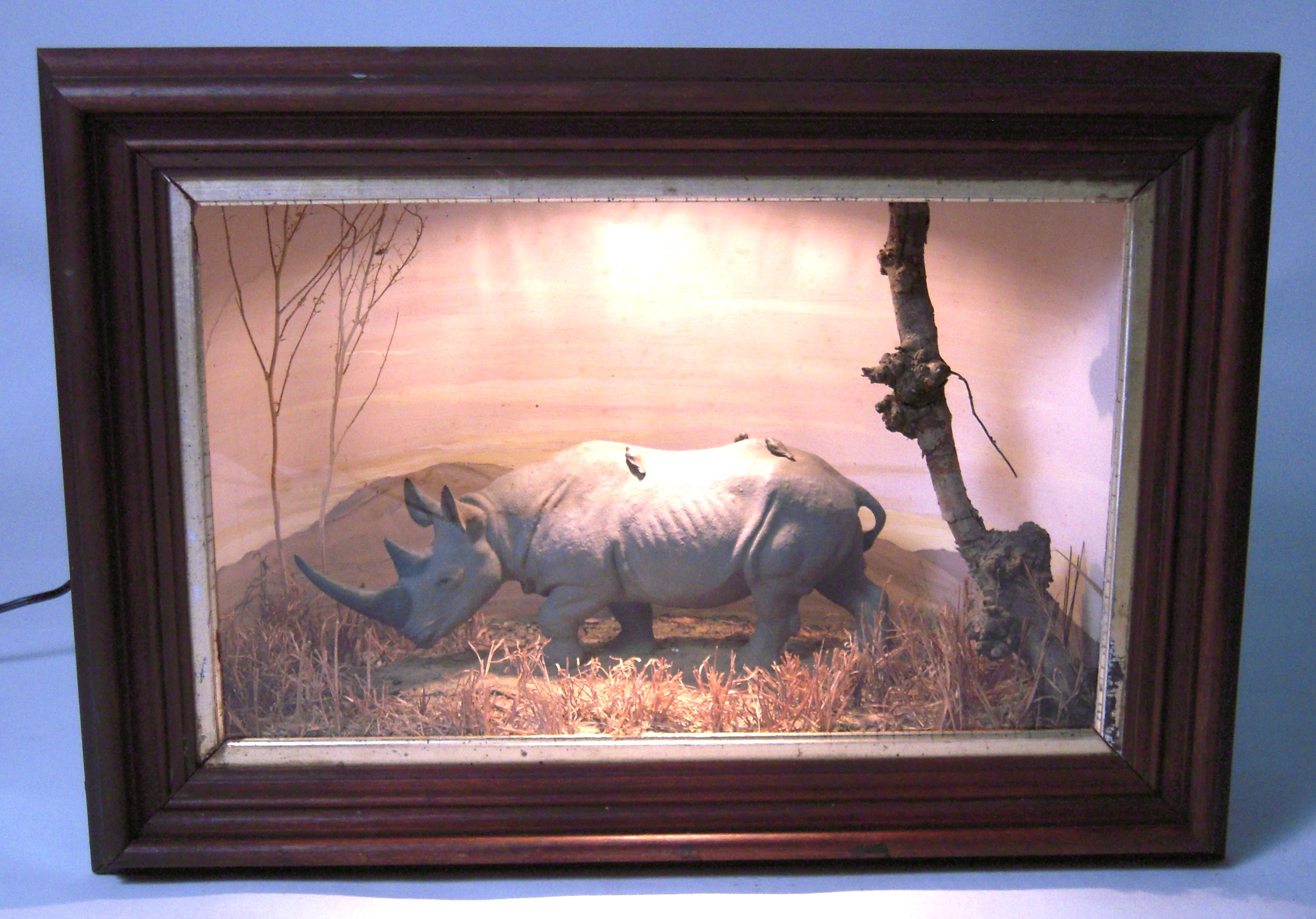 Rhinoceros Museum Diorama