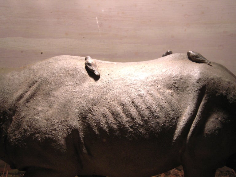 American Rhinoceros Museum Diorama