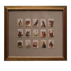 Framed Miniature Animal Watercolor Paintings