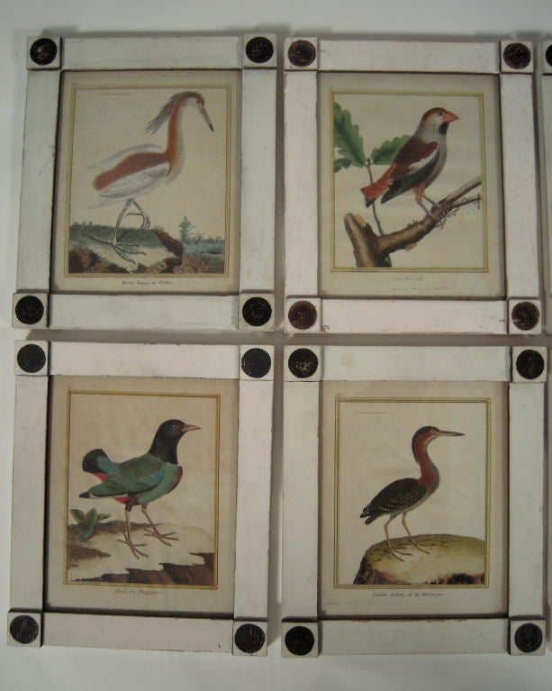 Eight Hand-colored Ornithological Prints by François Nicolas Martinet (French, 1725-1804) from 