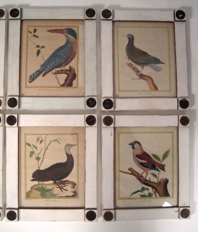 18th Century and Earlier Set of Eight Framed  18th Century French Bird Prints by Martinet