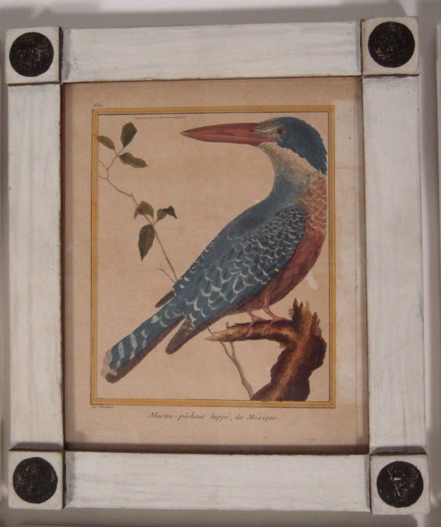 Set of Eight Framed  18th Century French Bird Prints by Martinet 1