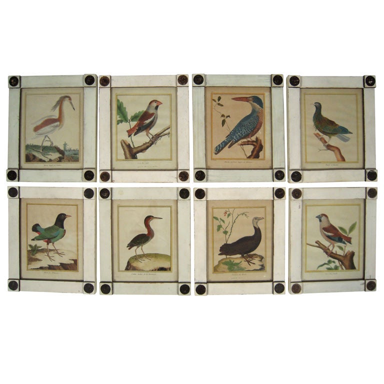 Set of Eight Framed  18th Century French Bird Prints by Martinet