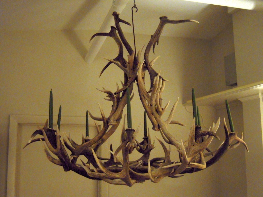 A well proportioned elk antler 8-light chandelier, with candles or may be wired for electricity. Versatile, sculptural and practical form for a traditional or contemporary interior.  Provenance: A Vermont private residence.