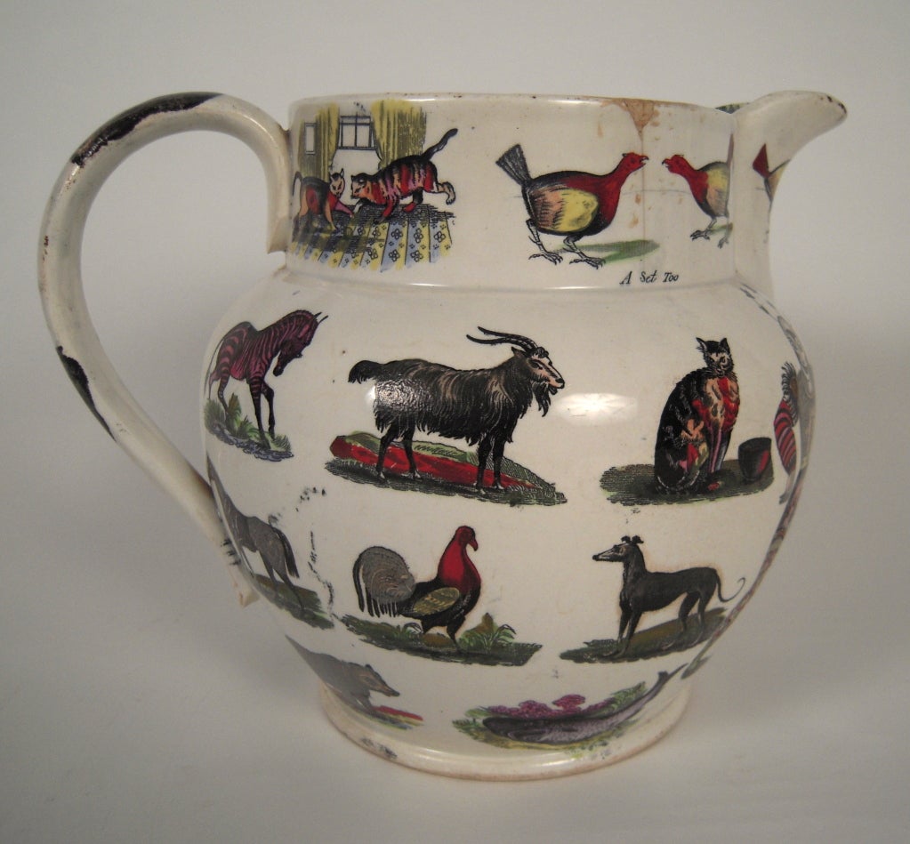 pitcher animal