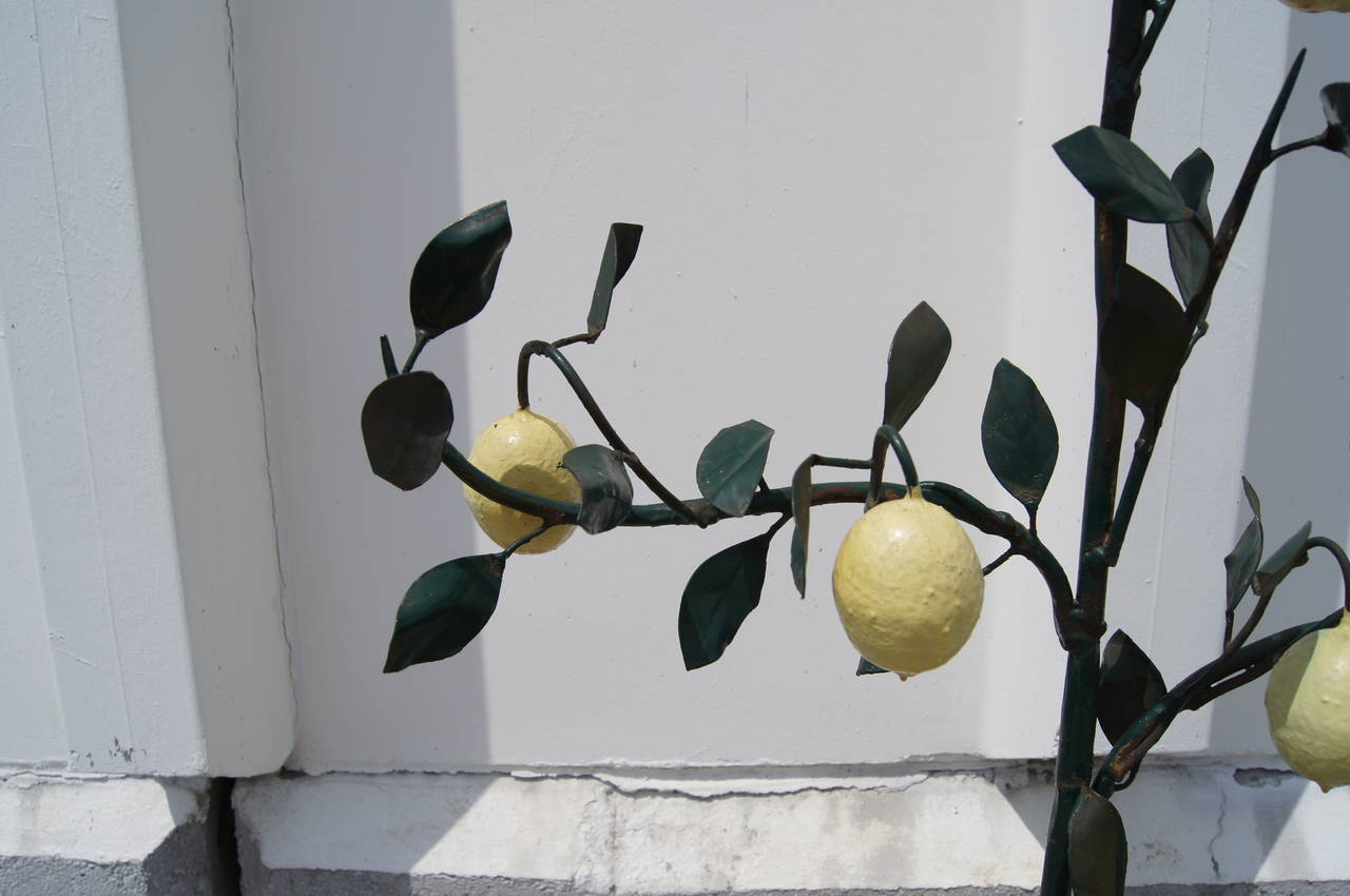 This tole sculpture from Italy models a whimsical lemon tree. Rising from a five-legged base the wrought iron trunk spreads into multiple branches covered in green leaves and bright yellow lemons. 

Italian tole trees such as this from the 1950s