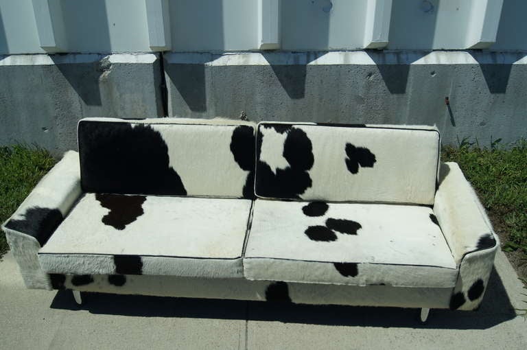 cow hide sofa