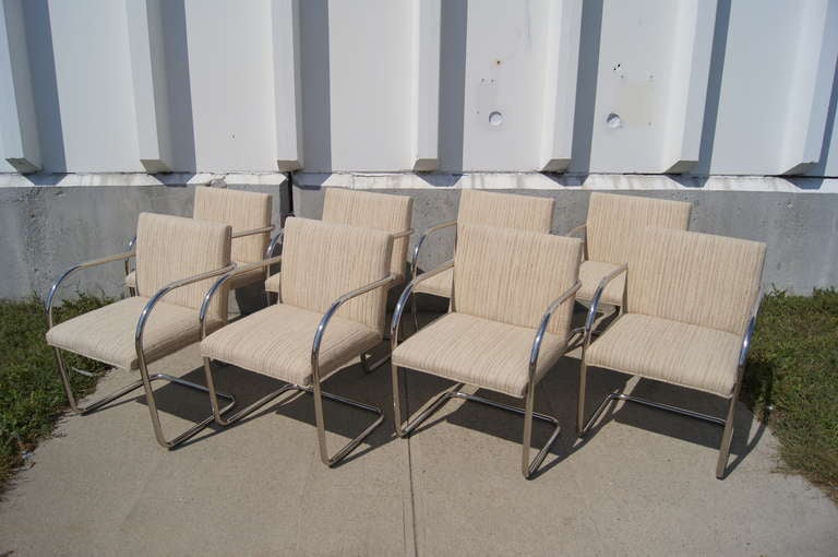 Set of Eight Tubular Chrome Brno Chairs by Mies van der Rohe for Knoll 1
