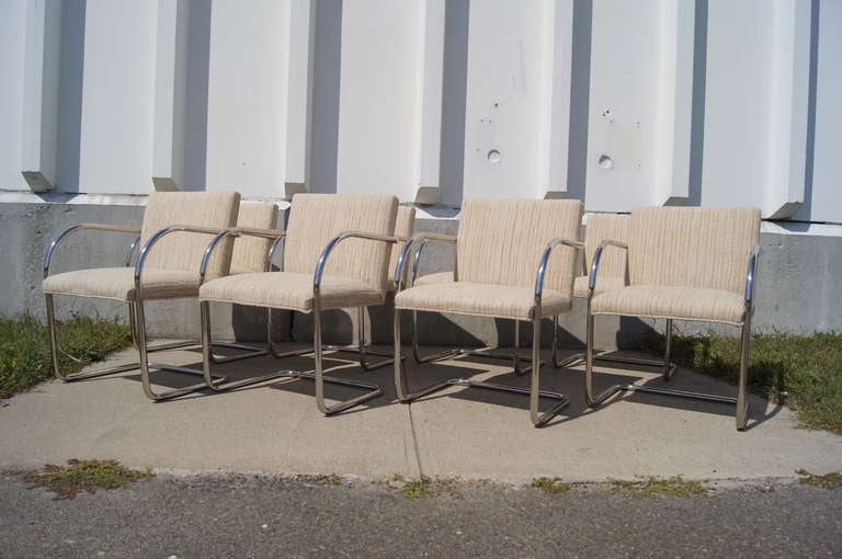 20th Century Set of Eight Tubular Chrome Brno Chairs by Mies van der Rohe for Knoll