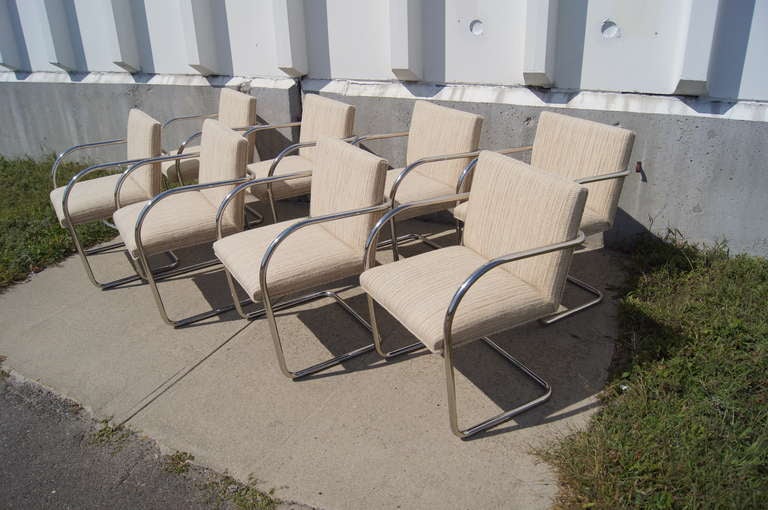 Set of Eight Tubular Chrome Brno Chairs by Mies van der Rohe for Knoll In Excellent Condition In Dorchester, MA