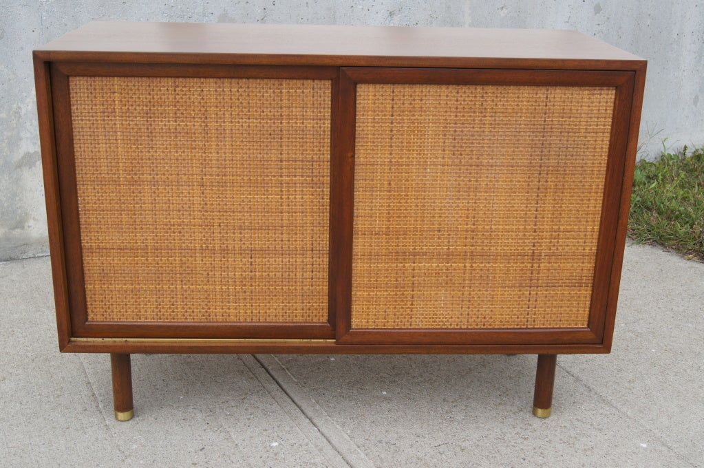 Rattan Door Cabinet by Harvey Probber In Excellent Condition In Dorchester, MA