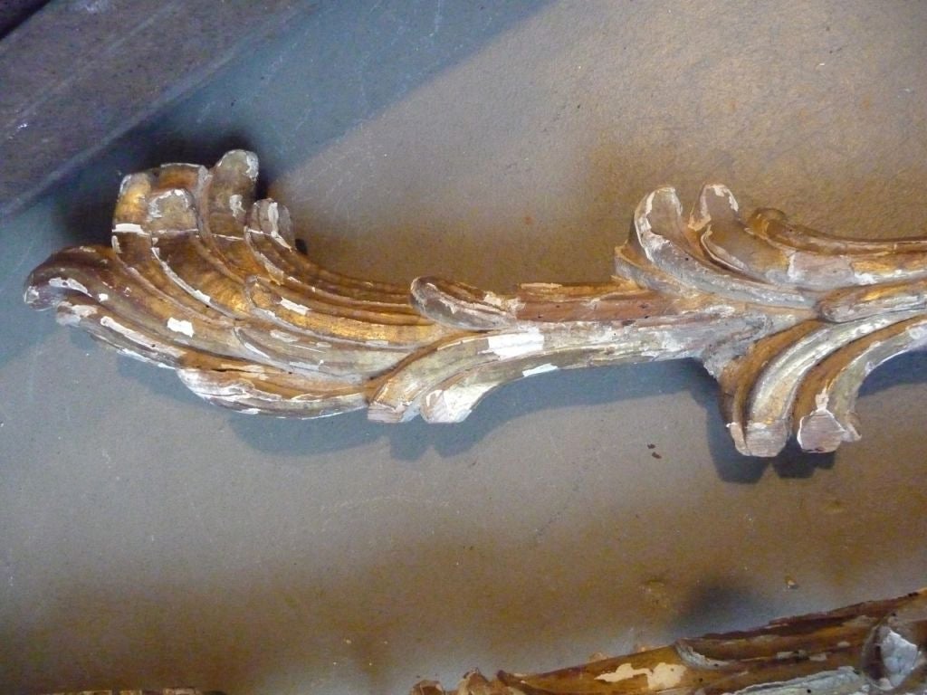 18th Century Carved Giltwood Fragments In Fair Condition For Sale In Boston, MA