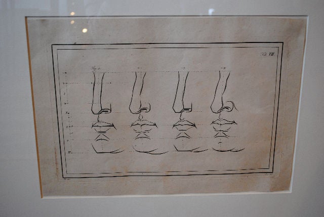 18th century Italian engraving of nose studies. Custom framed.